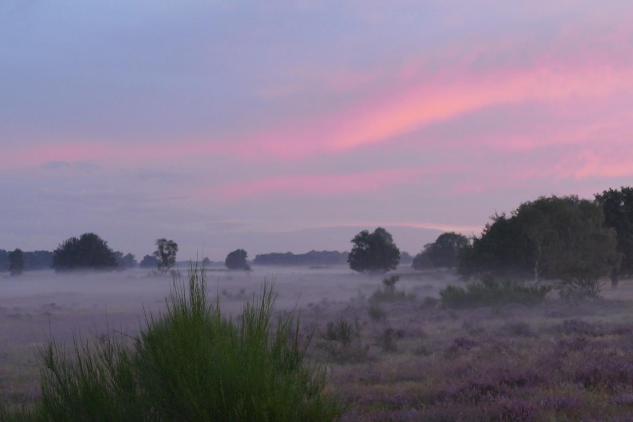 Bed and breakfast De Vrolijcke Bosmuis Bergeijk