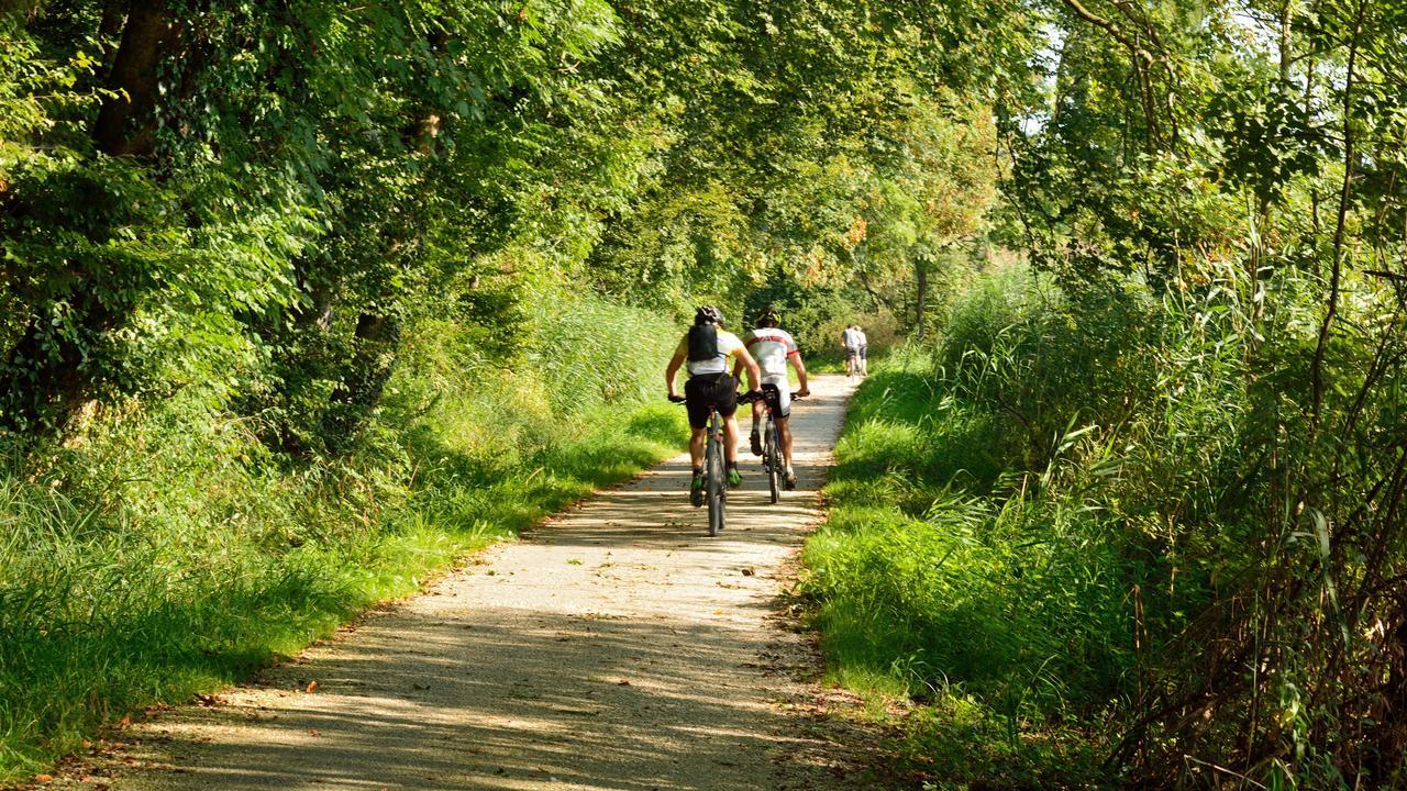 De Vrolijcke Bosmuis Bed and breakfast Bergeijk